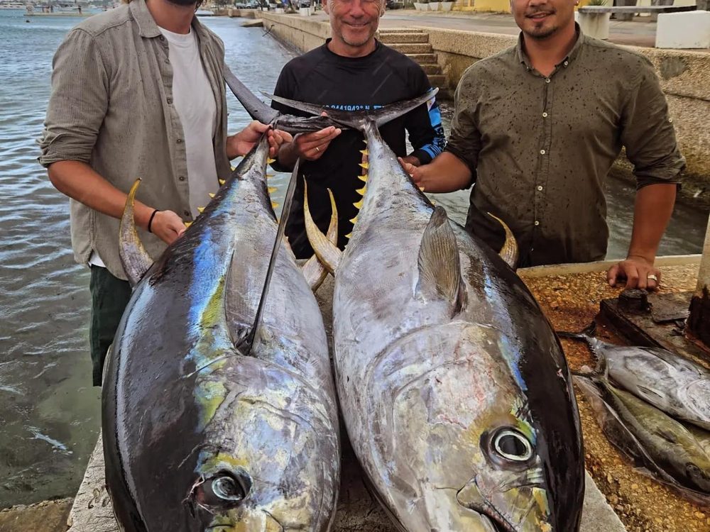 Crew with two big yellowfin tuna at the dock, Bonaire