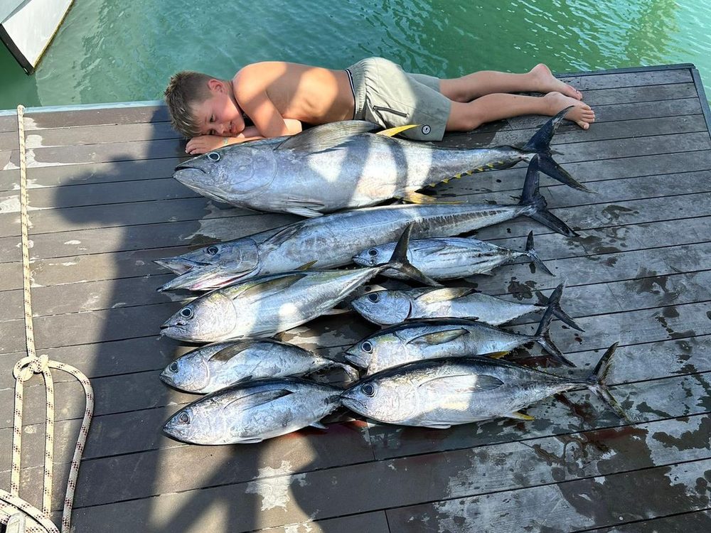 A full day's haul of yellowfin tuna and wahoo on the dock, Bonaire